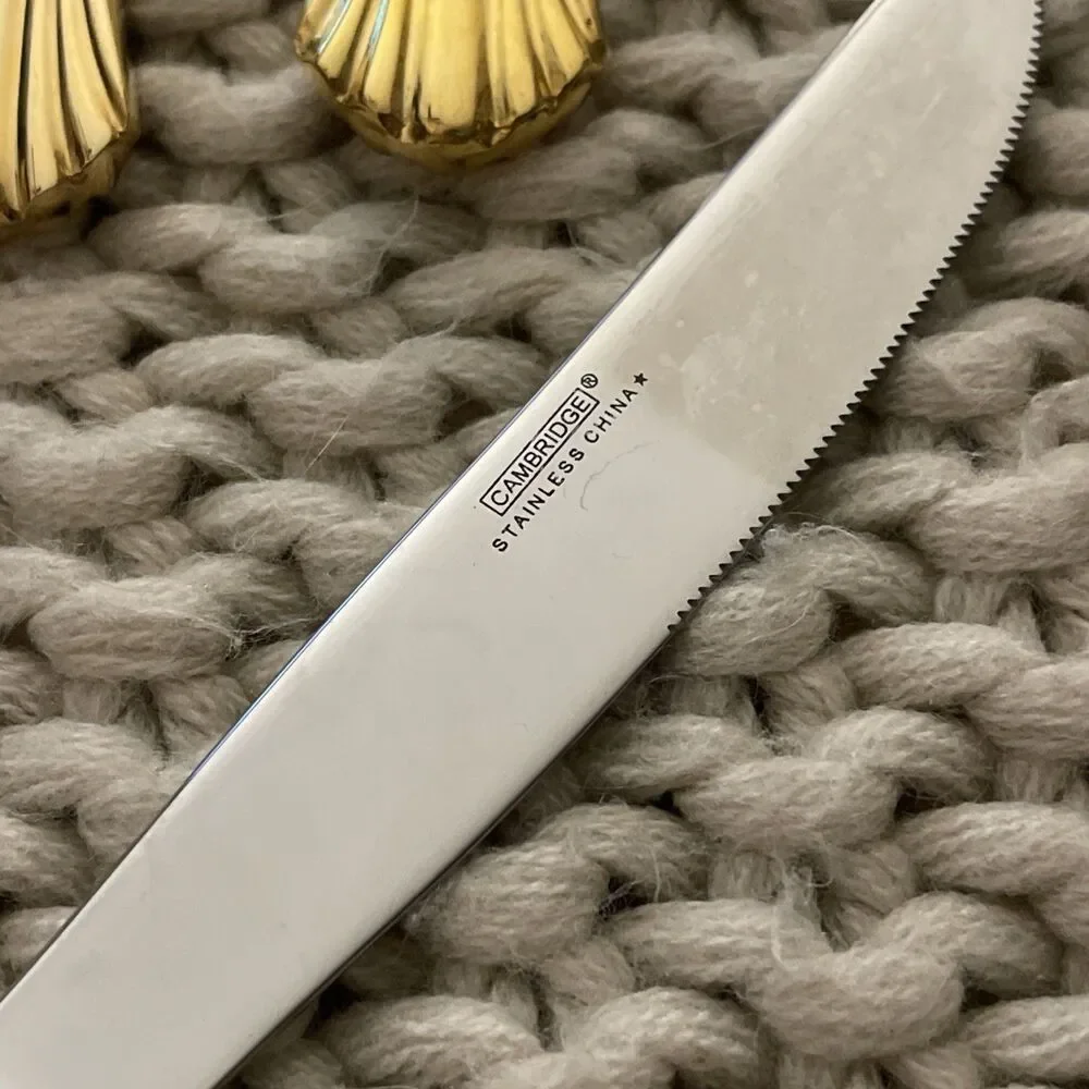 Cambridge Stainless Steel Gold Tracy Twelve Dinner Knives 12 New Set